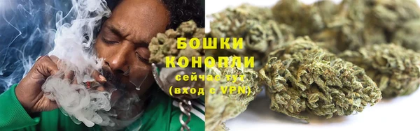 молекула духа Ладушкин