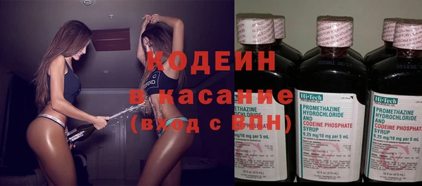 хмурый Липки