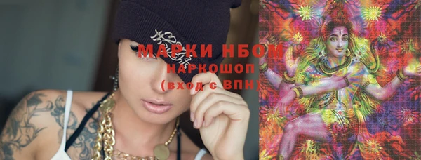 хмурый Липки