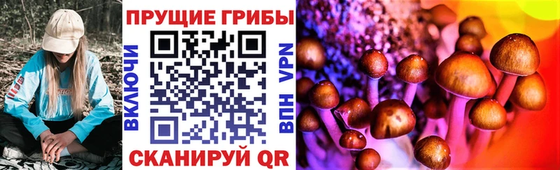 Псилоцибиновые грибы Magic Shrooms  Купить  Новотроицк 